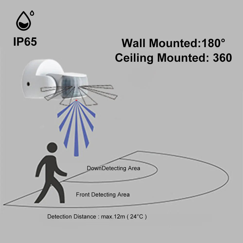 Double Probe Motion Sensor