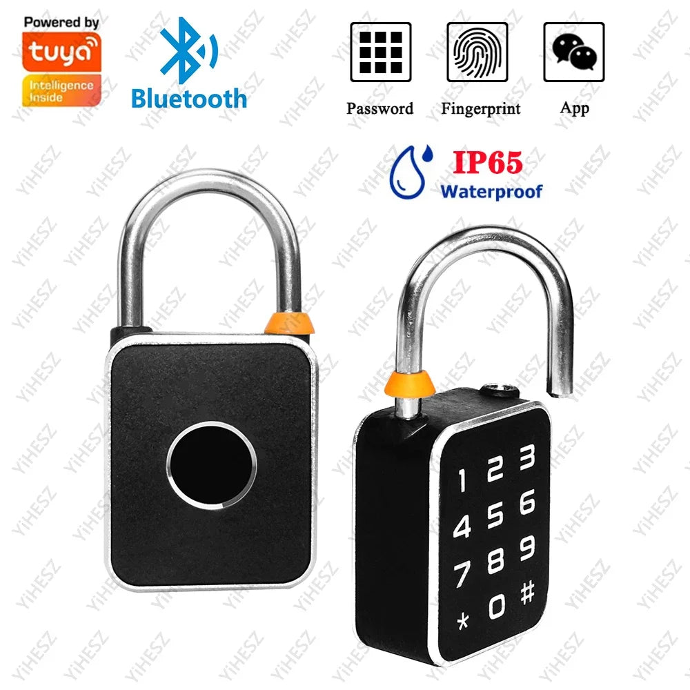 Mini Smart Anti-theft Lock