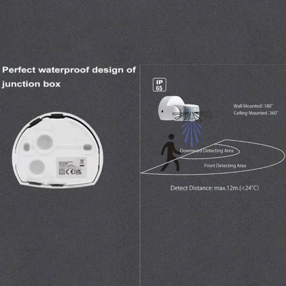 Double Probe Motion Sensor