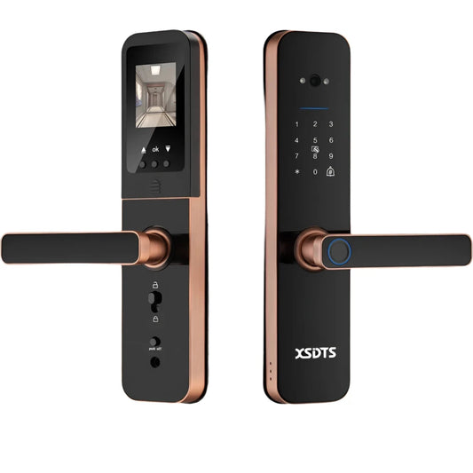 Electronic Smart Door Lock