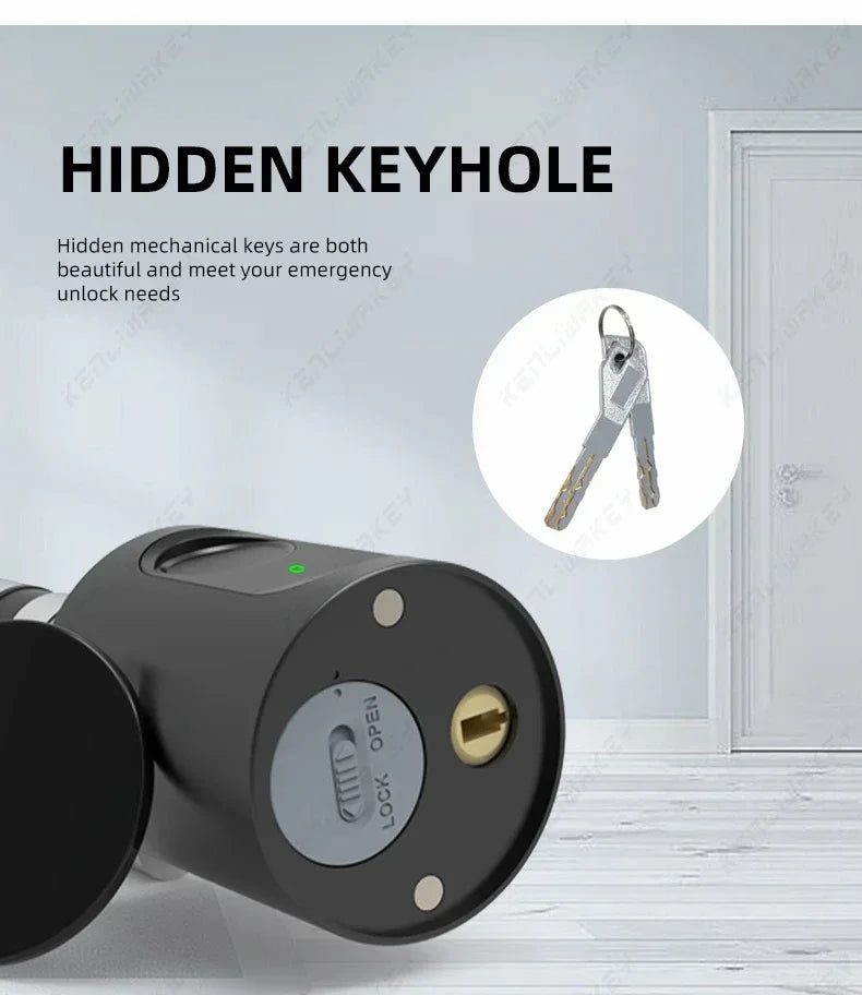 Cylinder Electronic Smart Door Lock